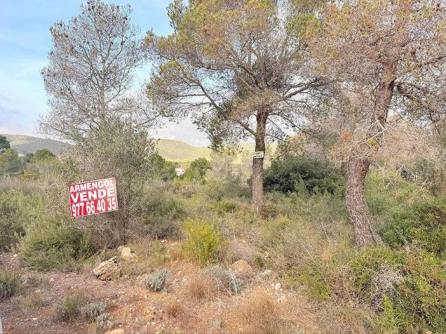 Terreno en venta en calle Monturiol, Montmell, El, de 755 m² por 13.900