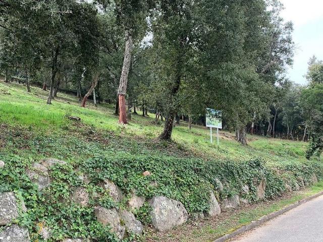 Terreno en venta en calle Montsoriu Sortida, Arbúcies, de 1.169 m² por 60.000