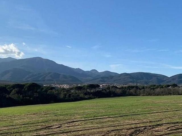 Terreno en venta en calle Alzina, Sant Feliu de Buixalleu, de 401 m² por 99.500