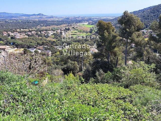 Terreno en venta en calle Cedres, Palafolls, de 300 m² por 40.000