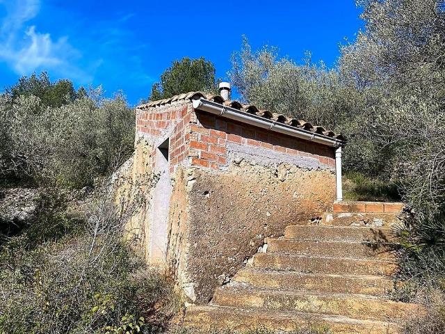 Terreno en venta en calle Colom, Perelló, el Tar, de 7.873 m² por 47.000