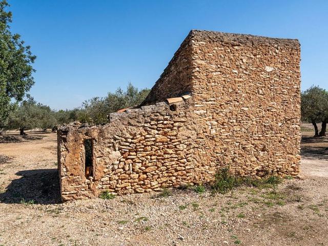 Terreno en venta en calle Colomar, Roquetes, de 13.000 m² por 25.000