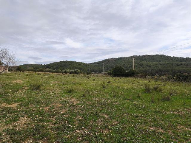 Terreno en venta en calle D'albinyana, Bonastre, de 4.456 m² por 55.000