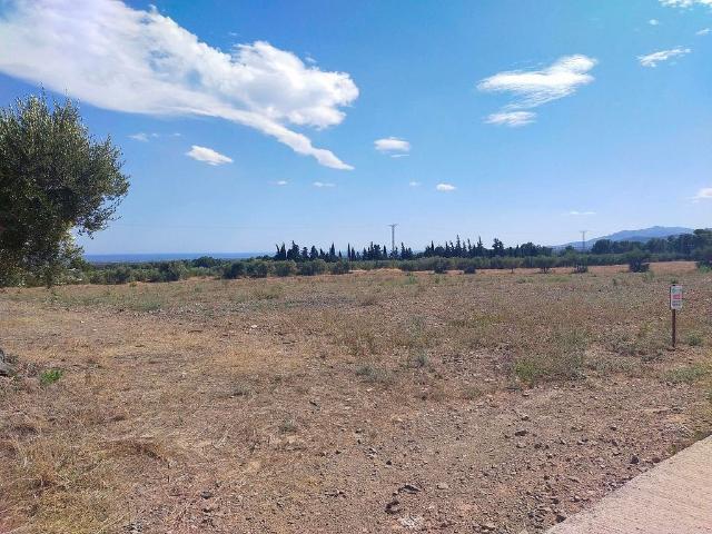 Terreno en venta en calle De Botarell a Riudecañes, Botarell, de 9.000 m² por 28.000