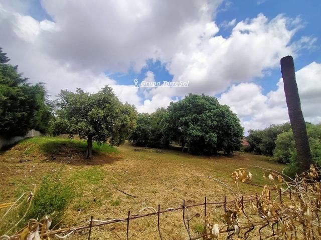 Terreno en venta en calle De la Fúcsia, Castellvell del Camp, de 280 m² por 189.000