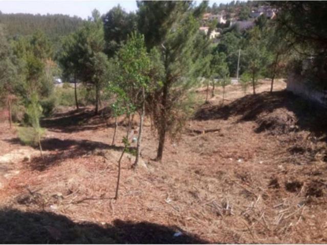 Terreno en venta en calle De la Guatlla, Riudarenes, de 856 m² por 32.000