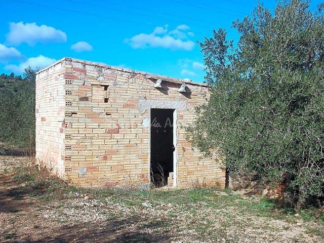 Terreno en venta en calle De Les Oliveres, Perelló, el Tar, de 8.205 m² por 49.000