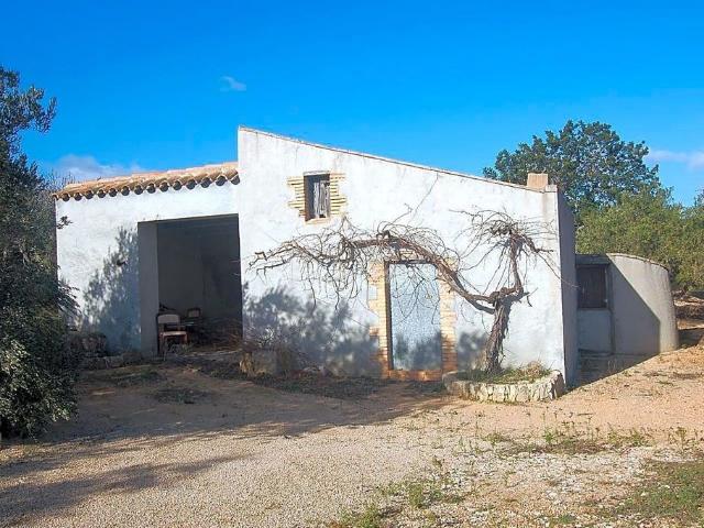 Terreno en venta en calle De Les Oliveres, Perelló, el Tar, de 16.000 m² por 118.000