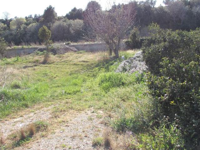 Terreno en venta en calle De Vinallop, Tortosa, de 1.300 m² por 10.000