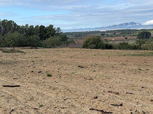 Terreno en venta en calle Del Castell, Vallmoll, de 50.000 m² por 68.500