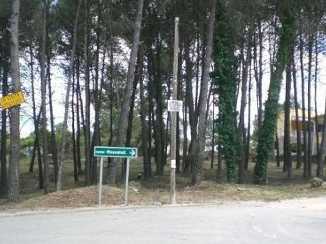 Terreno en venta en calle Del Merlot, Gelida, de 455 m² por 63.000