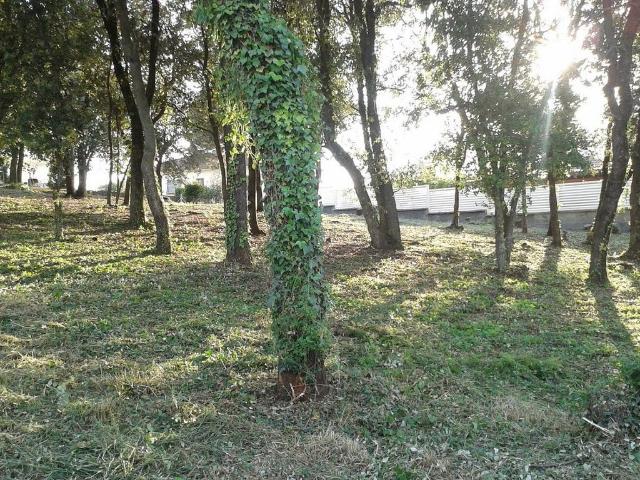 Terreno en venta en calle Del Picot, Cànoves i Samalús, de 797 m² por 89.000