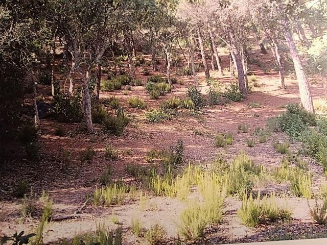 Terreno en venta en calle Dels Pardals, Lloret de Mar, de 1.750 m² por 90.000