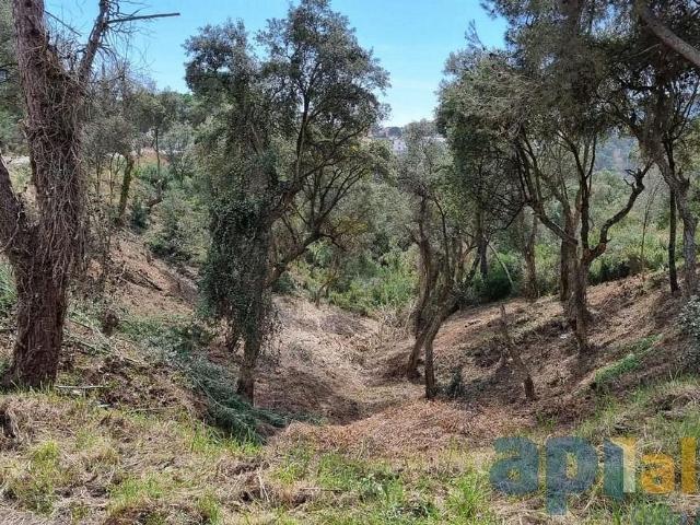 Terreno en venta en calle Eucaliptus, Calonge, de 1.190 m² por 90.000