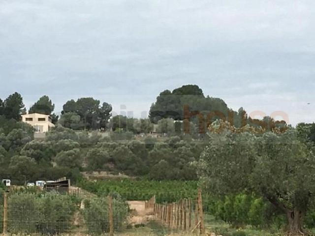 Terreno en venta en calle L'infern, Móra d´Ebre, de 3.831 m² por 31.100