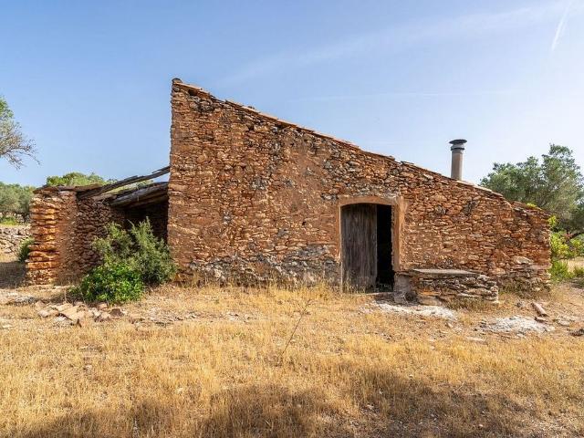 Terreno en venta en calle Lo Burgà, Perelló, el Tar, de 13.000 m² por 24.000