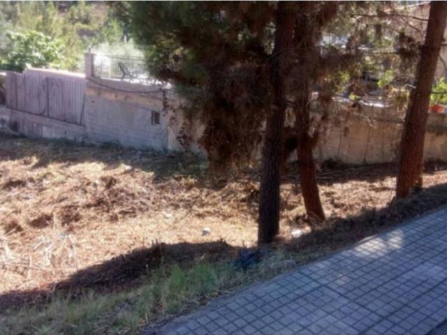 Terreno en venta en calle Pantano, Riudarenes, de 1.369 m² por 38.000