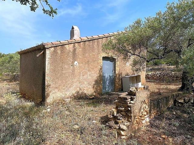 Terreno en venta en calle Partida Comartins, Perelló, el Tar, de 20.793 m² por 60.000