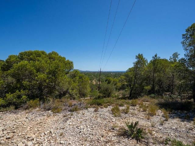 Terreno en venta en calle Partida Carratillana, Ametlla de Mar, l´, de 15.420 m² por 34.000