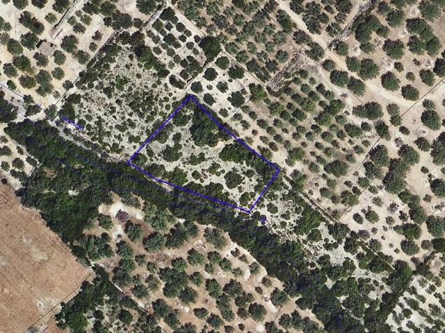 Terreno en venta en calle Partida la Foia de Les Ventalles, Ulldecona, de 3.142 m² por 2.600