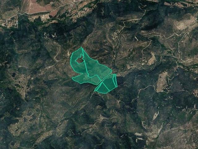 Terreno en venta en calle Partida Vall Cervera, Alfara de Carles, de 223.060 m² por 115.000