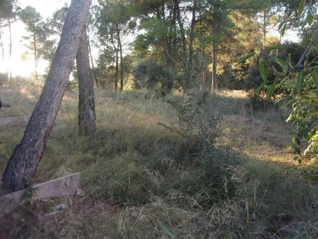 Terreno en venta en calle Pi, Santpedor, de 1.748 m² por 257.500