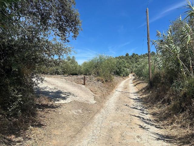 Terreno en venta en calle Plígono, Aleixar, l´, de 9.730 m² por 25.500