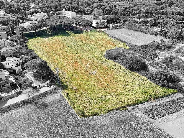 Terreno en venta en calle Rec del Molí, Castell Platja d´Aro, de 13.377 m² por 399.000