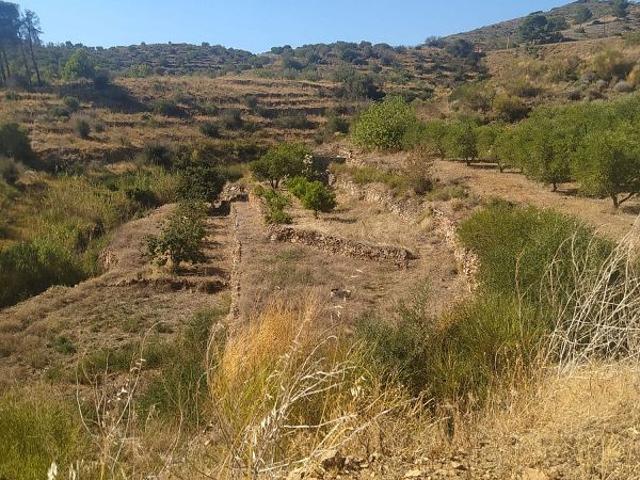 Terreno en venta en calle Riudecanyes, Riudecanyes, de 25.000 m² por 65.000