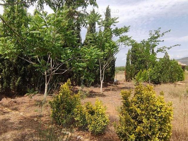 Terreno en venta en calle Sense Nom, Ulldecona, de 1.202 m² por 20.000