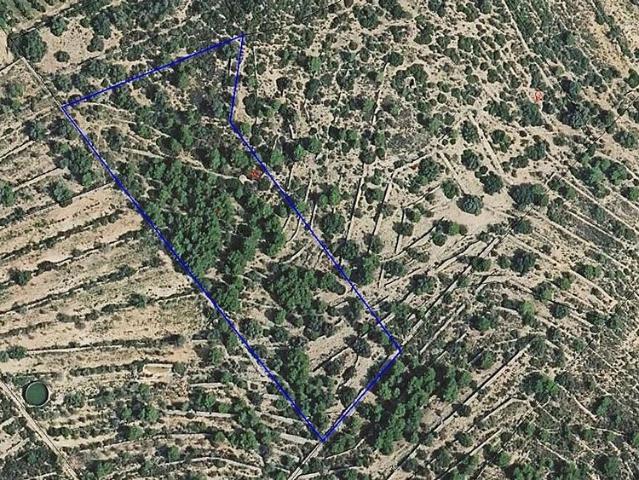 Terreno en venta en calle Sense Nom, Ulldecona, de 7.857 m² por 7.500