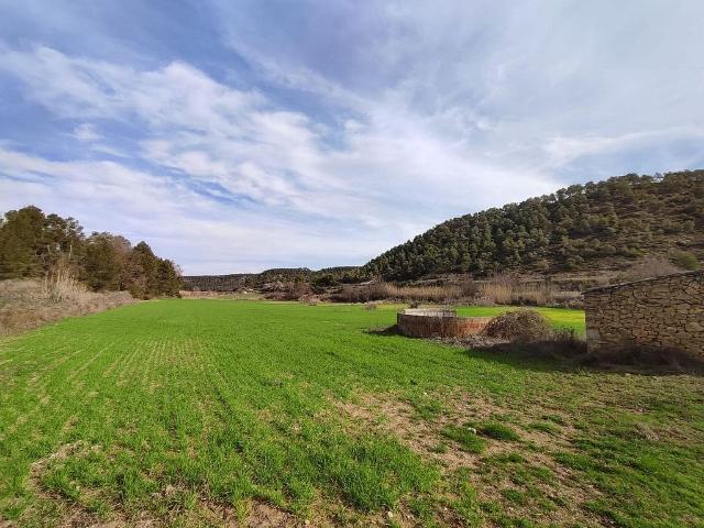 Terreno en venta en calle Sense Nom, Vinaixa, de 29.500 m² por 38.000