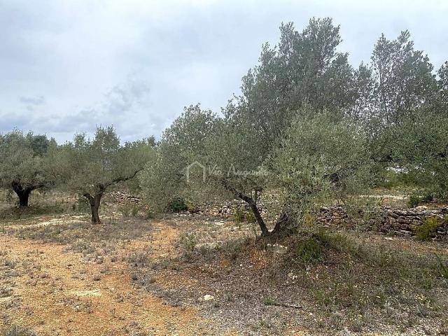 Terreno en venta en calle Sense Nom, Ametlla de Mar, l´, de 46.520 m² por 79.000