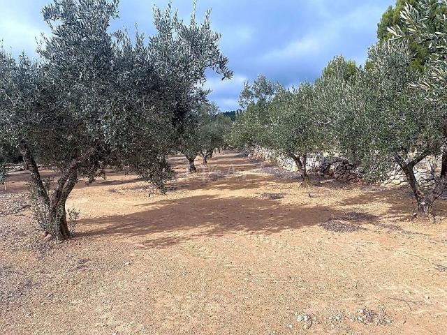 Terreno en venta en calle Sense Nom, Perelló, el Tar, de 10.929 m² por 30.000