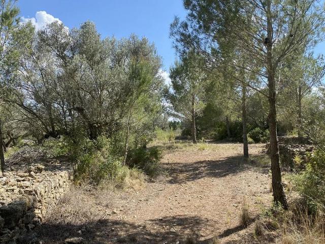 Terreno en venta en calle Sense Nom, Perelló, el Tar, de 16.518 m² por 35.000