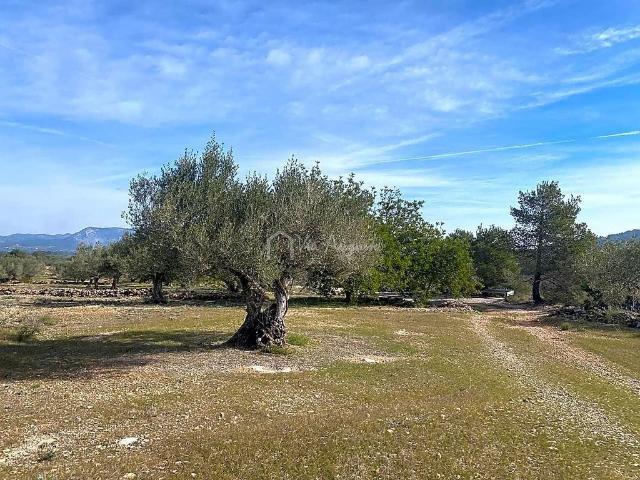 Terreno en venta en calle Sense Nom, Perelló, el Tar, de 19.535 m² por 50.000