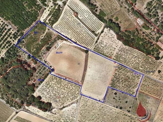 Terreno en venta en calle Sense Nom, Puigpelat, de 29.482 m² por 125.000