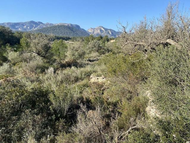 Terreno en venta en calle Sense Nom, Rasquera, de 8.155 m² por 17.000