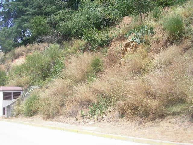Terreno en venta en calle Turó del Pi, Arbúcies, de 451 m² por 65.000