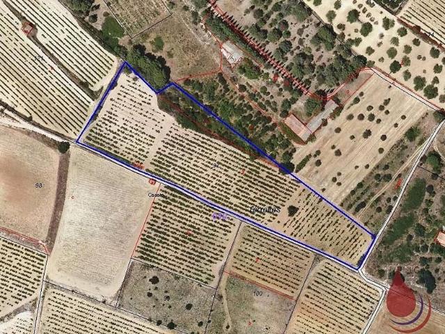 Terreno en venta en calle Tv, Puigpelat, de 14.466 m² por 27.000