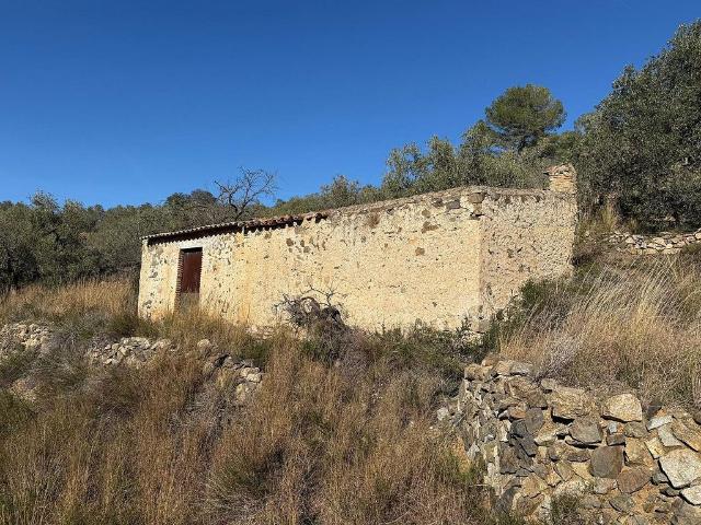 Terreno en venta en calle T, Riudecanyes, de 6.000 m² por 33.500