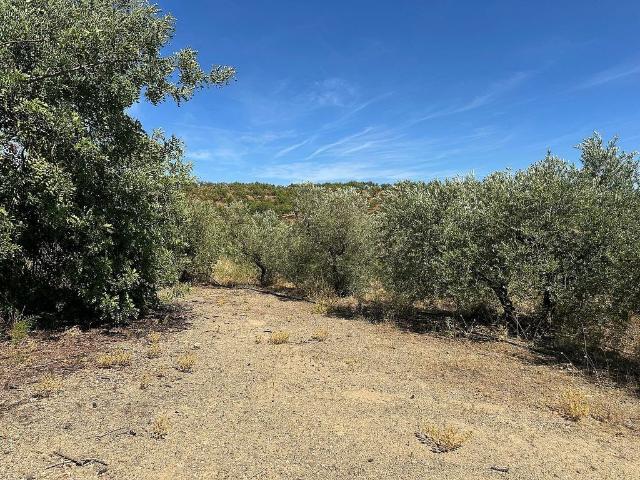 Terreno en venta en calle Vial, Aleixar, l´, de 2.980 m² por 18.000