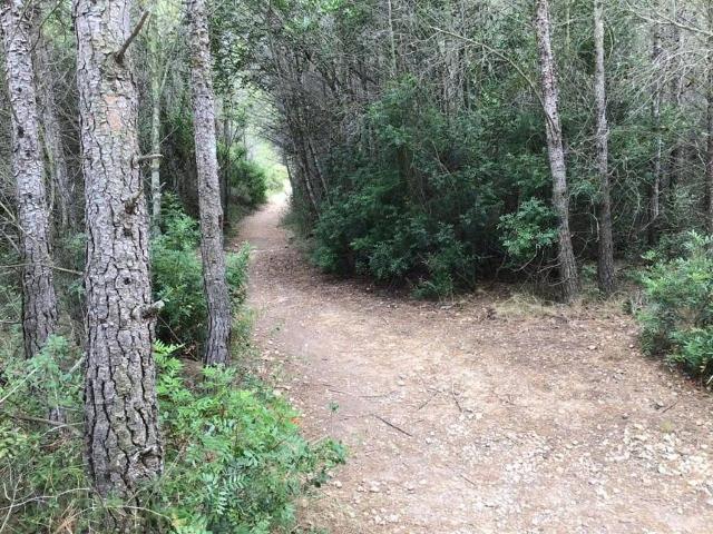 Terreno en venta en calle Viejo, Vendrell, El, de 120.000 m² por 42.000