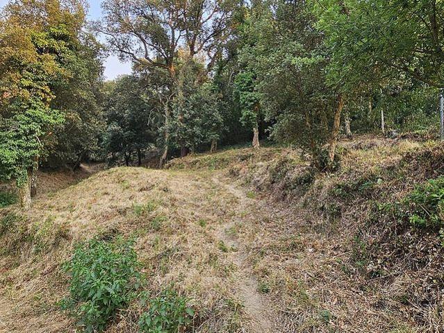 Terreno en venta en calle Xampinyó, Vallgorguina, de 1.331 m² por 57.000