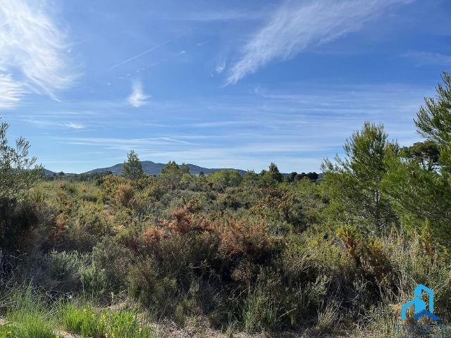 Terreno en venta en calle Zamora, Aiguamúrcia, de 1.000 m² por 14.900