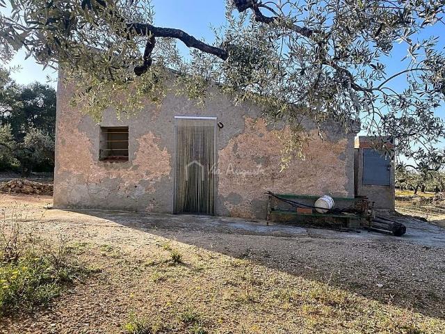 Terreno en venta en calle Zn Diseminats, Perelló, el Tar, de 11.229 m² por 65.000