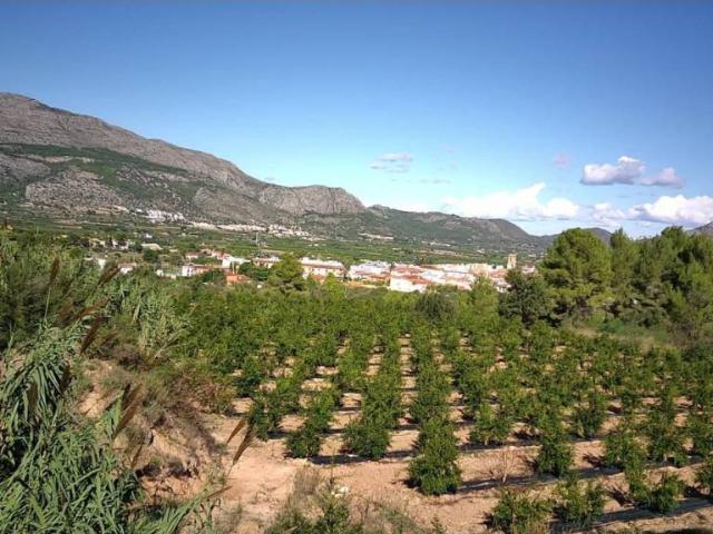 Terreno en Venta en Calles