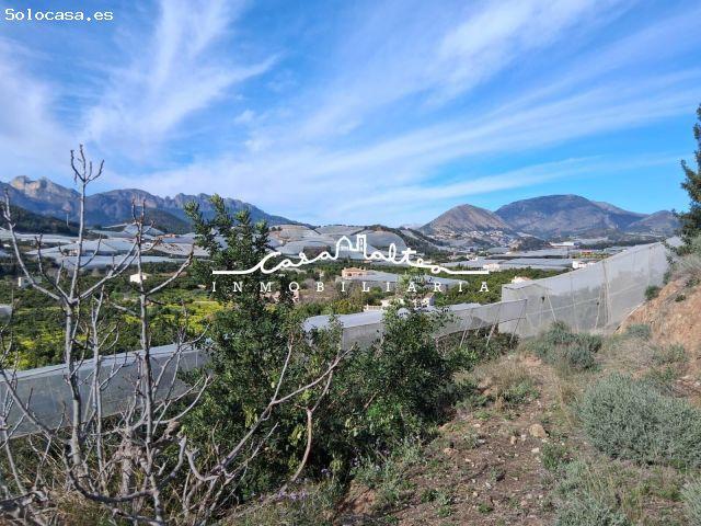 Terreno en Venta en Callosa D Ensarria