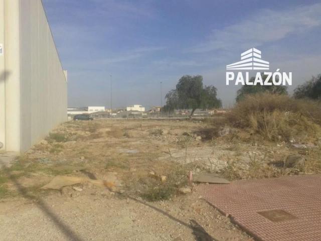 Terreno en venta en Callosa de Segura, Polígono Industrial San Roque