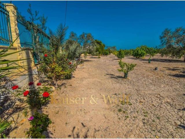 Terreno en Venta en Callosa de Segura